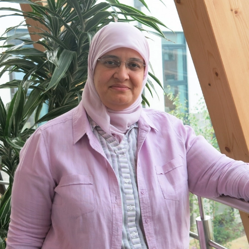  Professor Omneya Abdelsalam